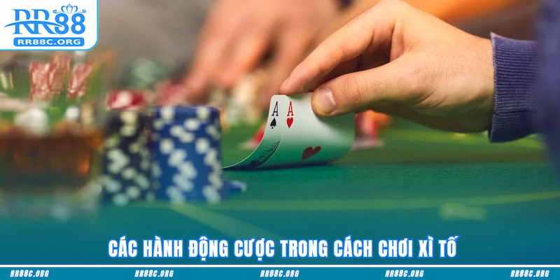 Các hành động cược trong Cách chơi Xì Tố