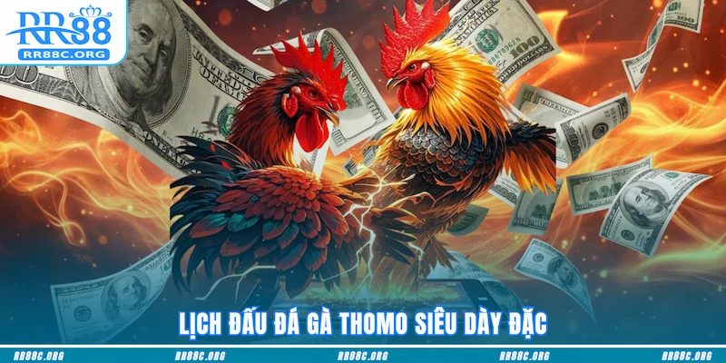 Top hình thức Đá Gà Thomo cực phẩm